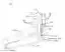 Fig. 01 - Drum pedal