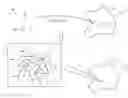 Fig. 01 - Automatic identification of multiple activation pathways