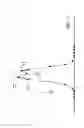 Fig. 08 - Method for finding species peaks in mass spectrometry