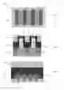 Fig. 02 - Middle of line structures