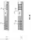Fig. 09 - DEVICE COMPRISING INTEGRATION OF DIE TO DIE WITH POLYMER PLANARIZATION LAYER