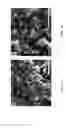 Fig. 02 - Sodium powders for use as electrode additives and methods of making and using the same