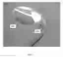 Fig. 02 - Translucent and transparent separators