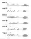 Fig. 08 - Wireless communication system