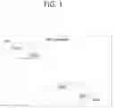 Fig. 02 - Method and apparatus for transmitting Short SSW frame in wireless LAN system