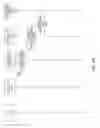 Fig. 06 - Supplementing log messages with metadata