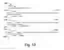 Fig. 09 - Protocols for accessing hosts