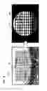 Fig. 09 - Imaging device and imaging method
