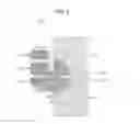 Fig. 07 - Imaging element, driving method, and electronic device