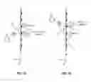 Fig. 08 - Light field capture