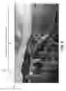 Fig. 03 - Embedding video watermarks without visible impairments