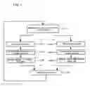 Fig. 08 - Methods, devices and systems for parallel video encoding and decoding