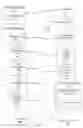 Fig. 07 - Sequentially overlaying media content