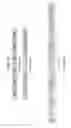 Fig. 41 - Apparatus for transmitting broadcast signals, apparatus for receiving broadcast signals, method for transmitting broadcast signals and method for receiving broadcast signals