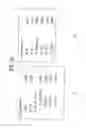 Fig. 64 - Apparatus for transmitting broadcast signals, apparatus for receiving broadcast signals, method for transmitting broadcast signals and method for receiving broadcast signals