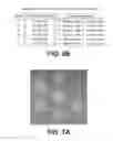 Fig. 09 - Piezoelectric array elements for sound reconstruction with a digital input
