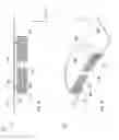 Fig. 09 - Panel audio loudspeaker electromagnetic actuator
