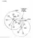 Fig. 35 - Multi-hop communication