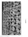 Fig. 02 - COMPOSITIONS FOR CONTROLLING WEEDS GROWING