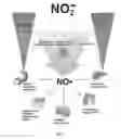 Fig. 02 - Methods and compositions to improve weight loss and cardiometabolic health beyond diet and excercise
