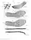 Fig. 49 - Customized footwear, and systems and methods for designing and manufacturing same