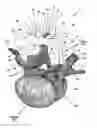 Fig. 01 - Disposable guide device for spinal surgery