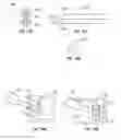 Fig. 07 - Devices and methods for treating bone