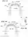 Fig. 08 - Orthodontic wire alignment system and method
