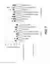 Fig. 08 - Elongated Tissue Matrices