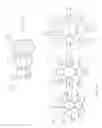 Fig. 08 - TOOL AND METHOD FOR COMPRESSING A STENTED PROSTHESIS