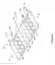 Fig. 04 - Stent with coated struts
