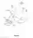 Fig. 09 - Orthosis for deformity correction