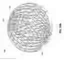 Fig. 44 - WOUND CLOSURE DEVICES