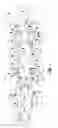 Fig. 02 - Apparatus for applying multi-dimensional traction to the spinal column
