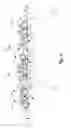 Fig. 03 - Apparatus for applying multi-dimensional traction to the spinal column