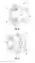 Fig. 07 - Apparatus for applying multi-dimensional traction to the spinal column