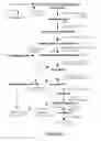 Fig. 02 - METHODS AND COMPOSITIONS FOR ALLEVIATING MYOPATHY
