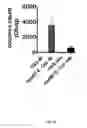 Fig. 22 - L-DOPA microbiome therapy