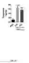 Fig. 45 - L-DOPA microbiome therapy