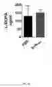 Fig. 52 - L-DOPA microbiome therapy