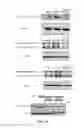 Fig. 49 - Inflammasome inhibition for the treatment of Parkinson's disease, Alzheimer's disease and multiple sclerosis