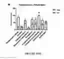 Fig. 19 - TREATMENT FOR PROGRESSIVE MULTIPLE SCLEROSIS