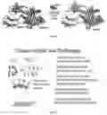 Fig. 02 - Selective high-affinity polydentate ligands and methods of making such