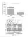 Fig. 02 - METHODS AND COMPOSITIONS FOR TARGETED GENE TRANSFER