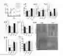 Fig. 03 - Method of using cyclodextrin
