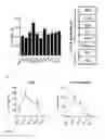Fig. 05 - USES OF IL-41