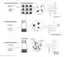 Fig. 01 - DESIGN AND COMPOSITION OF CELL-STABILIZED PHARMACEUTICAL FORMULATIONS