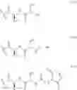 Fig. 331 - Glucocorticoid receptor agonist and immunoconjugates thereof