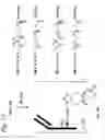 Fig. 11 - Bioconjugates containing sulfamide linkers for use in treatment