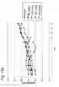Fig. 18 - Bioconjugates containing sulfamide linkers for use in treatment